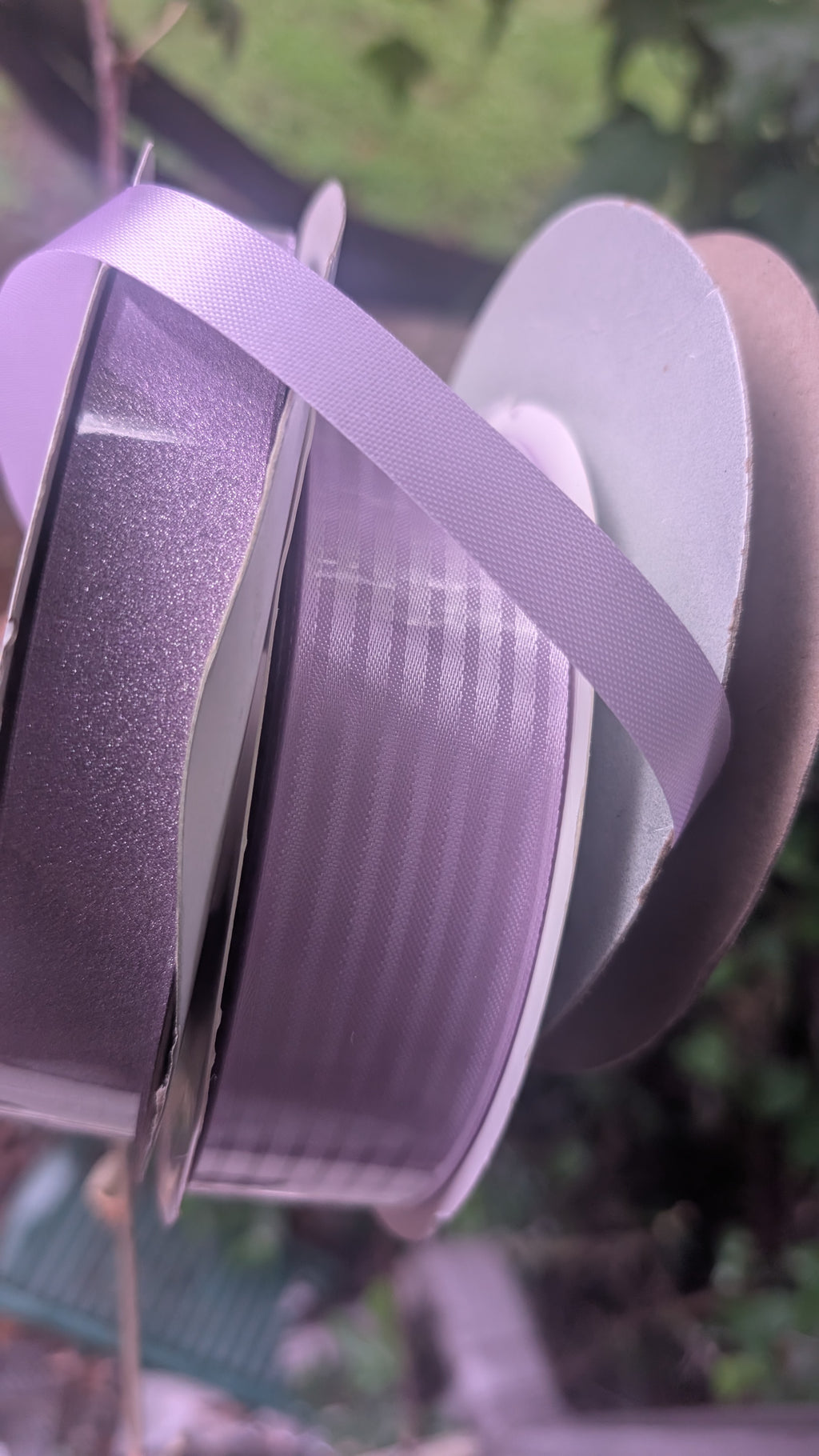 Lavender Ribbon