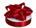 Red Ribbon